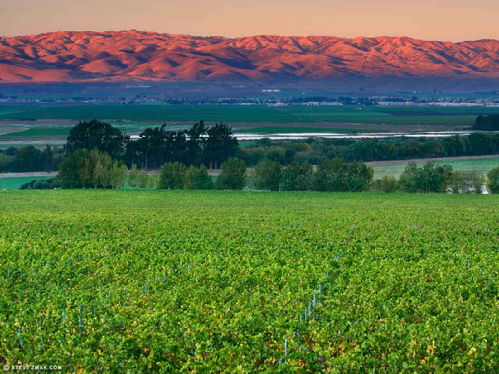 Salinas Valley