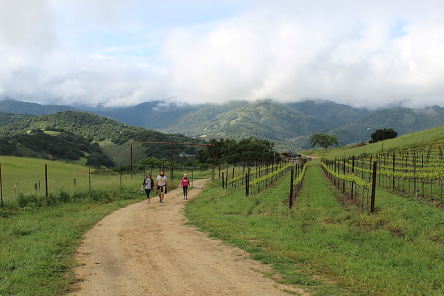 Hiking at Holman Ranch