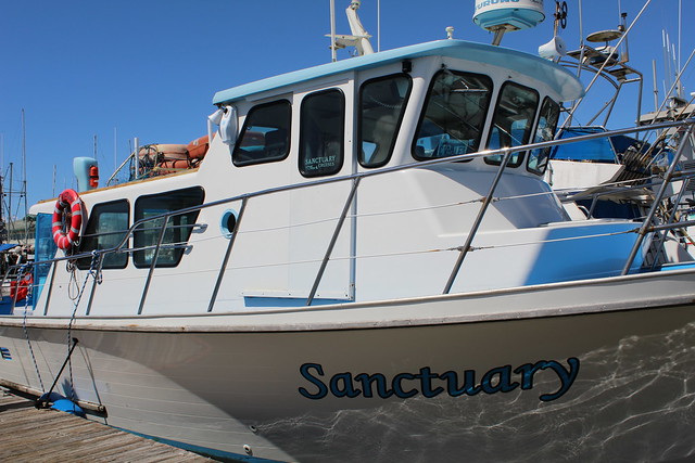 Sanctuary Cruises