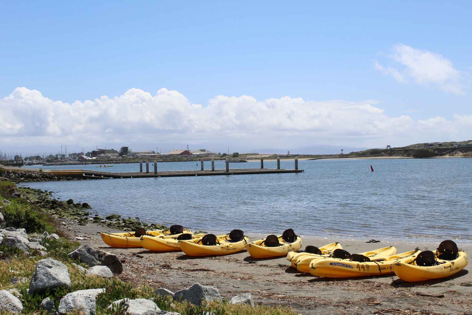 Kayaking in Monterey