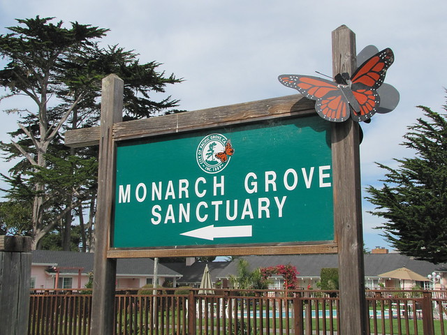 Monarch Grove Sanctuary