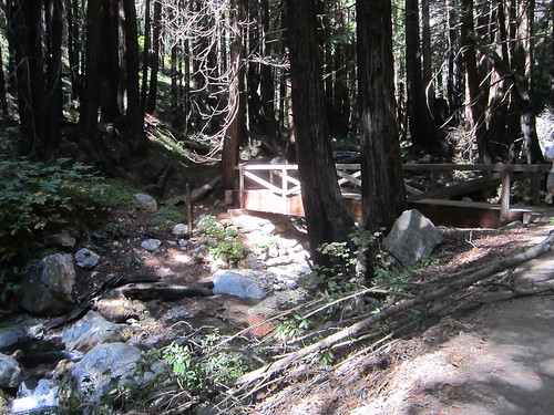 Scenic Bridges at Limekiln State Park