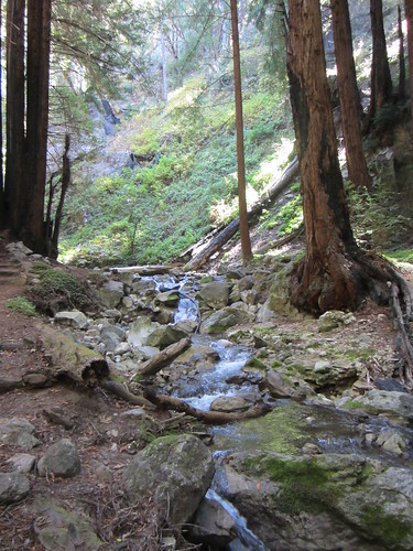 Hare Trail at Limekiln State Park