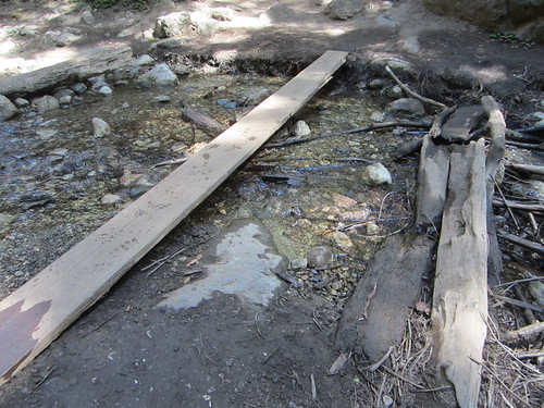 Slippery Bridge on the way to the falls