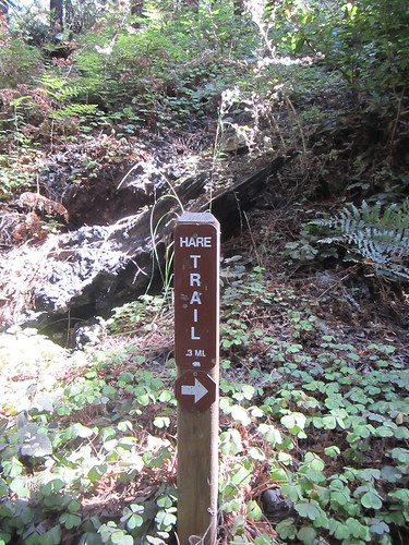 Hare Trail at Limekiln State Park