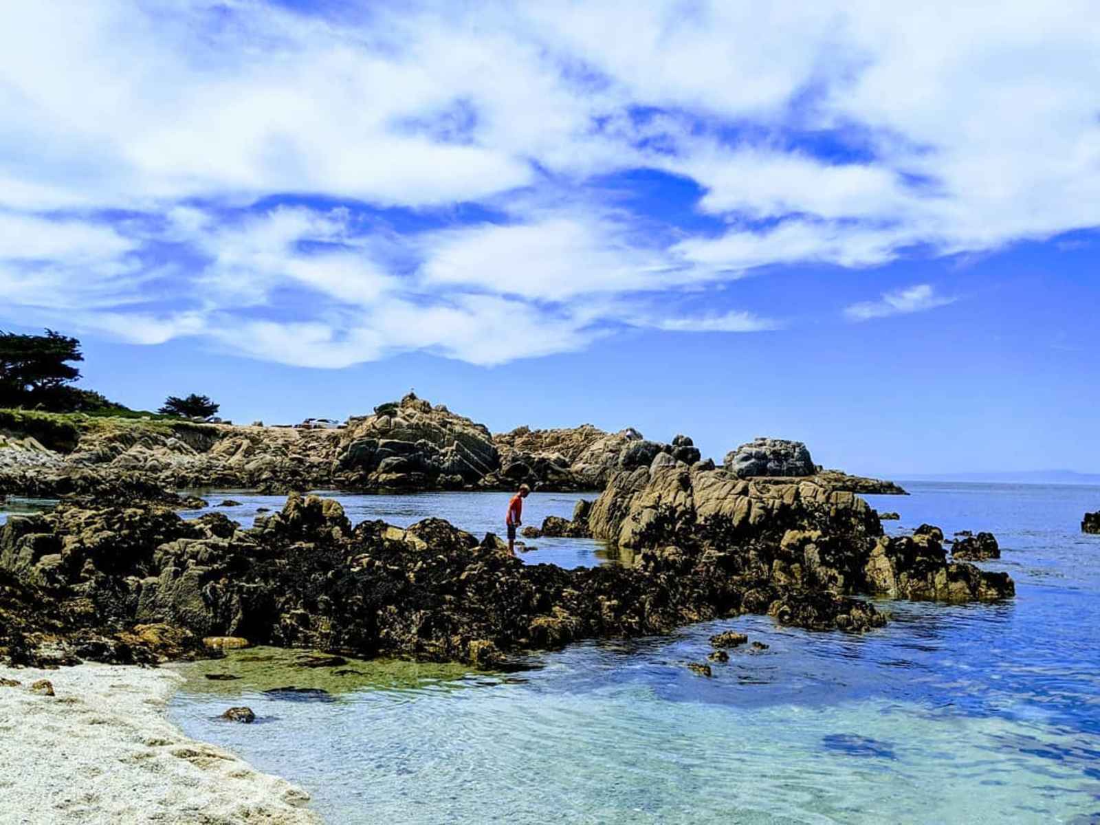 Best Places for Tide Pooling