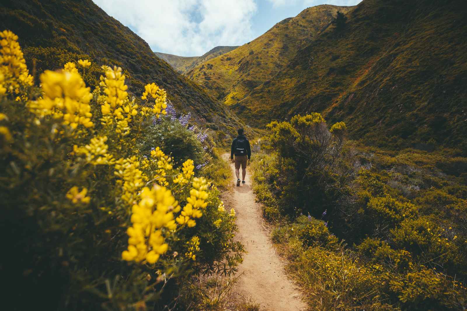 7 Hikes to Take Your Breath Away in Monterey County