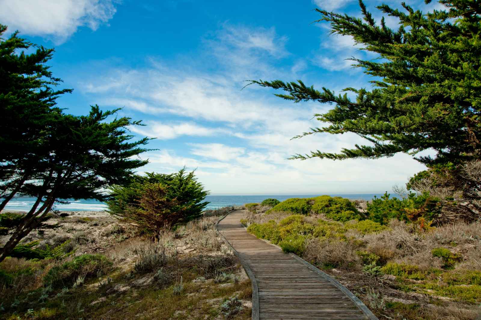 Asilomar Boardwalk