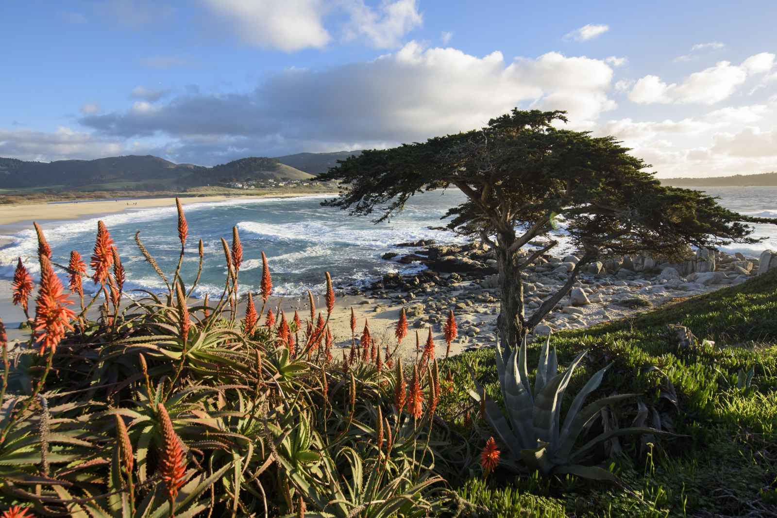 Carmel River State Beach