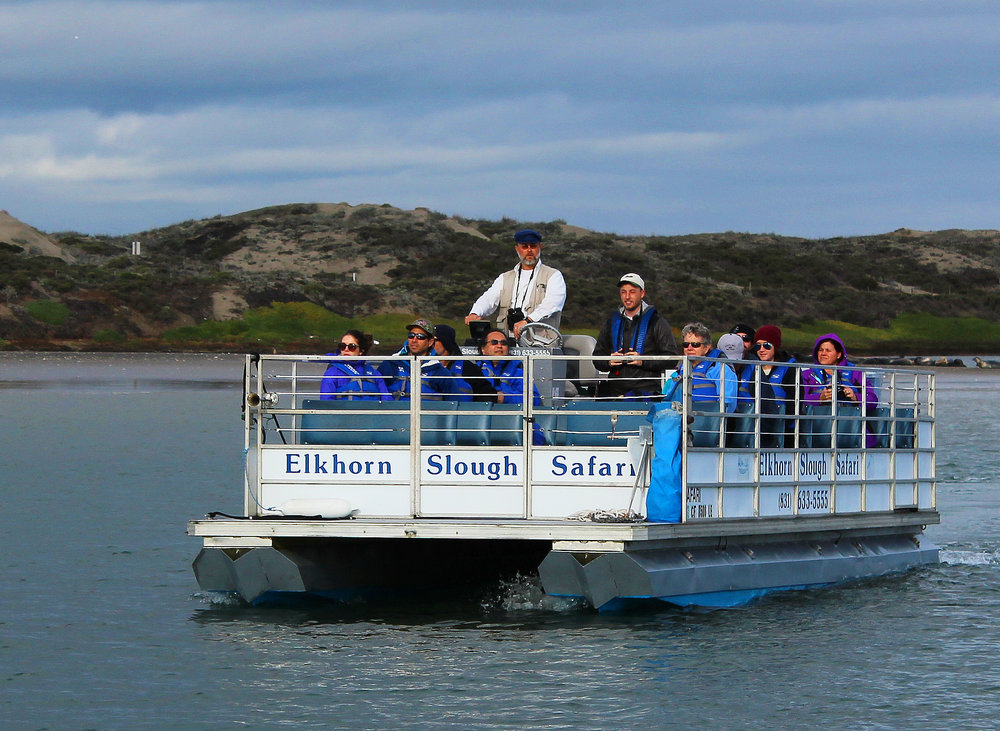 This is an image of an Elkhorn Slough Safari pontoon boat. Passengers can be seen sitting and sight seeing. The tour guide and boat driver stand towards the center of the boat