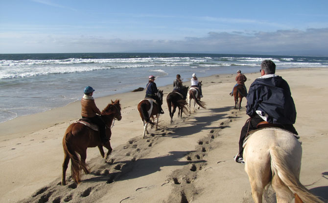 Horseback Riding on the Beach