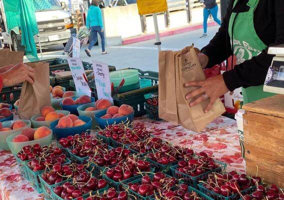 Farmer's Markets