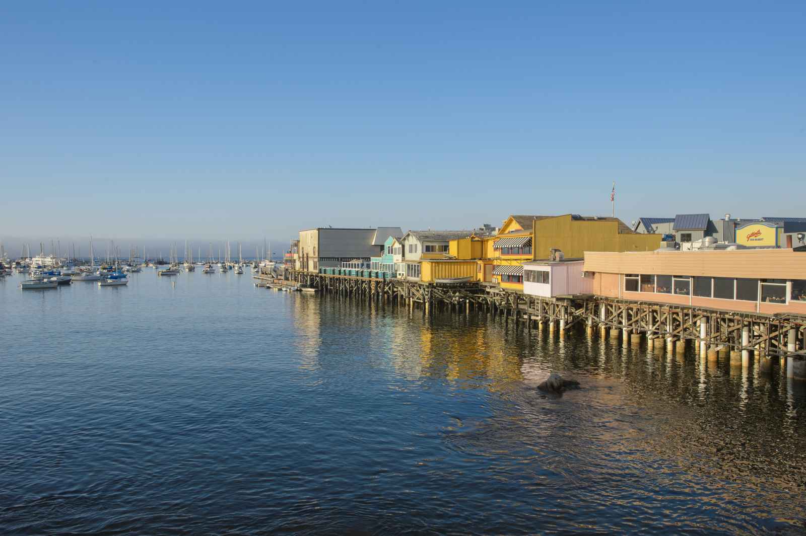 4 Things You Must Do on Old Fisherman’s Wharf, Monterey