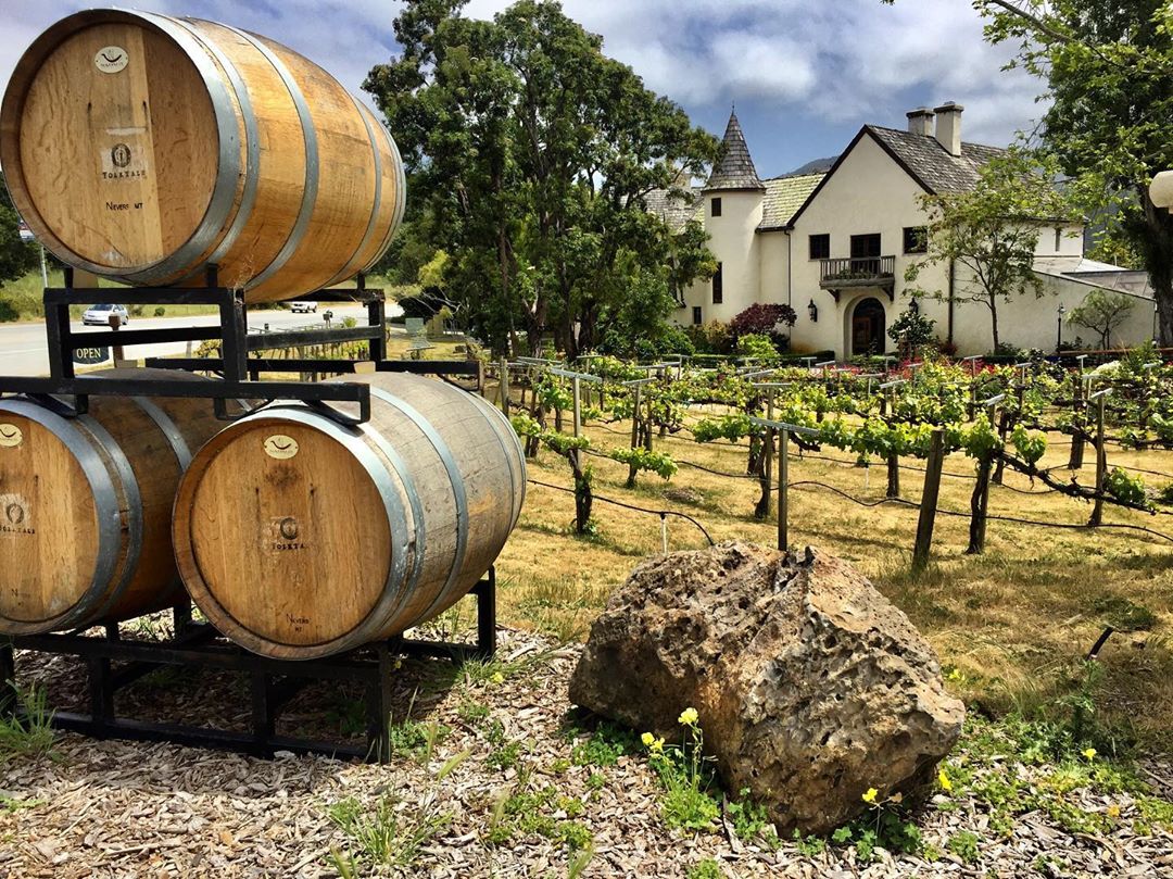 Best Family Friendly Wine Tasting Rooms in Monterey County