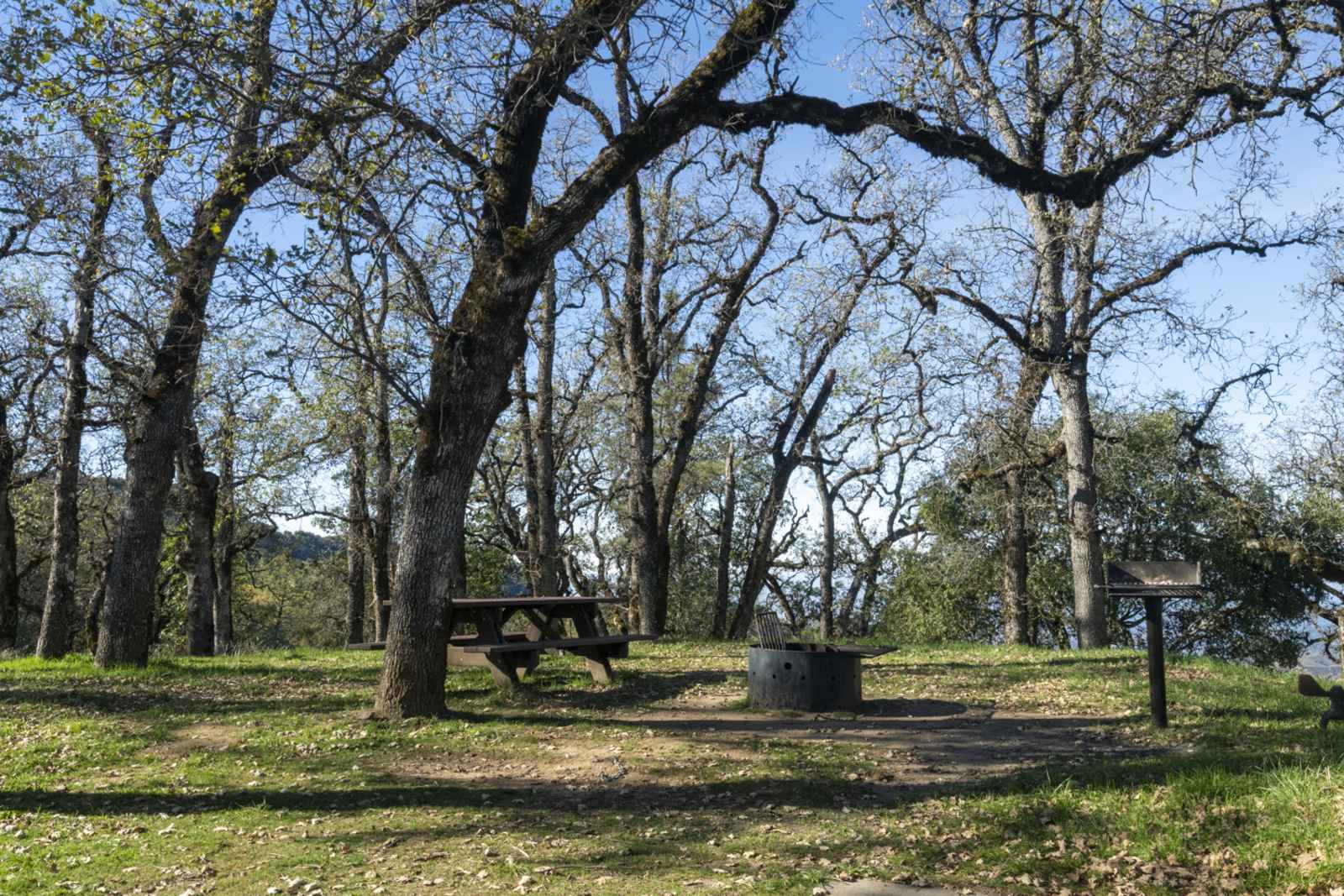 Fremont Peak State Park Camping