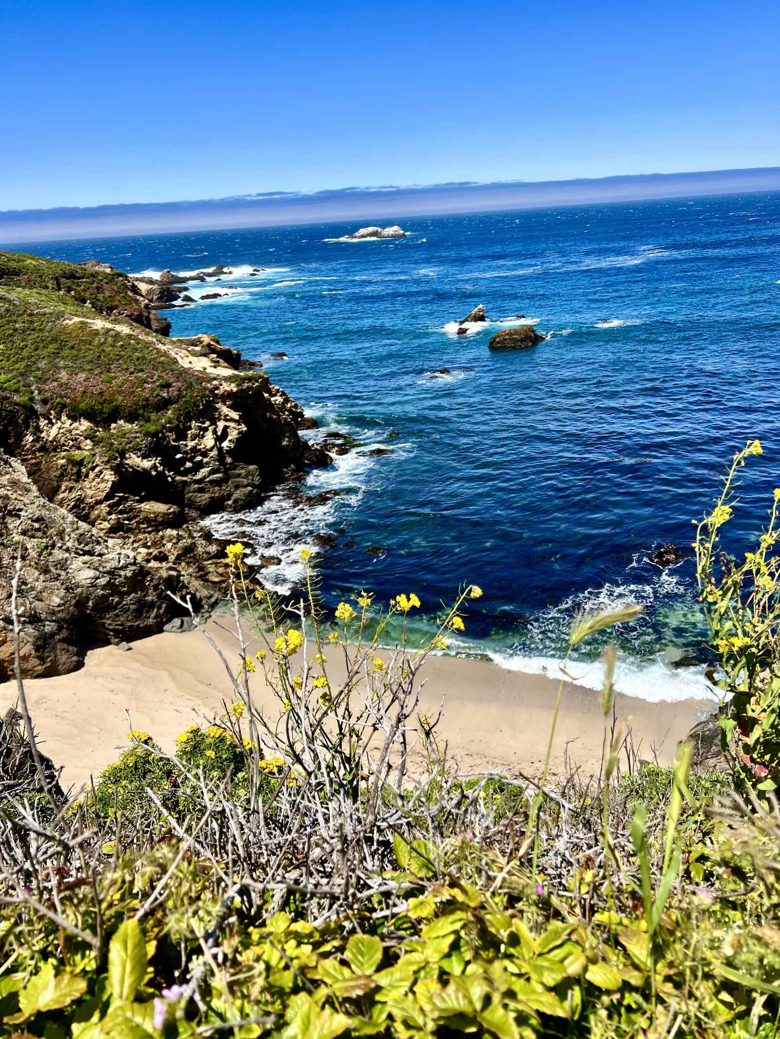 10 Reasons to Visit Monterey County This Summer