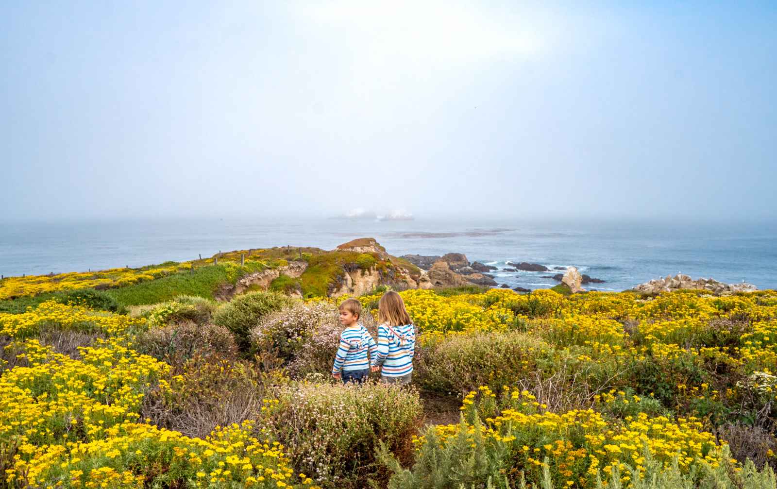 Garrapata State Park Field Trips