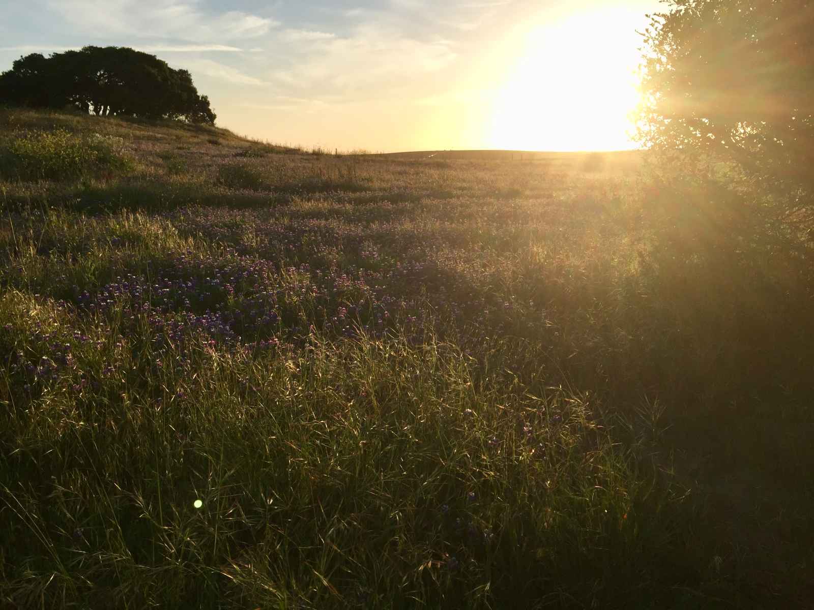 Trails Less Traveled: Fort Ord National Monument