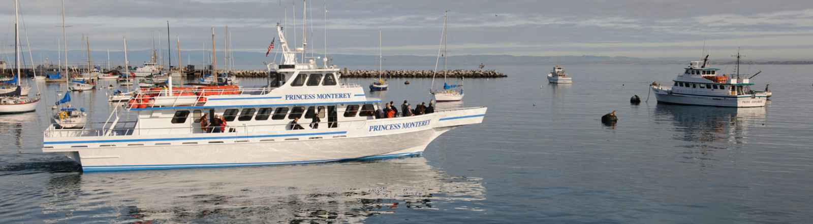 Fishing in Monterey