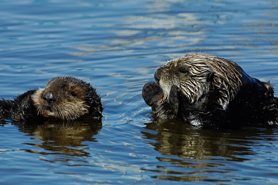 Moss Landing