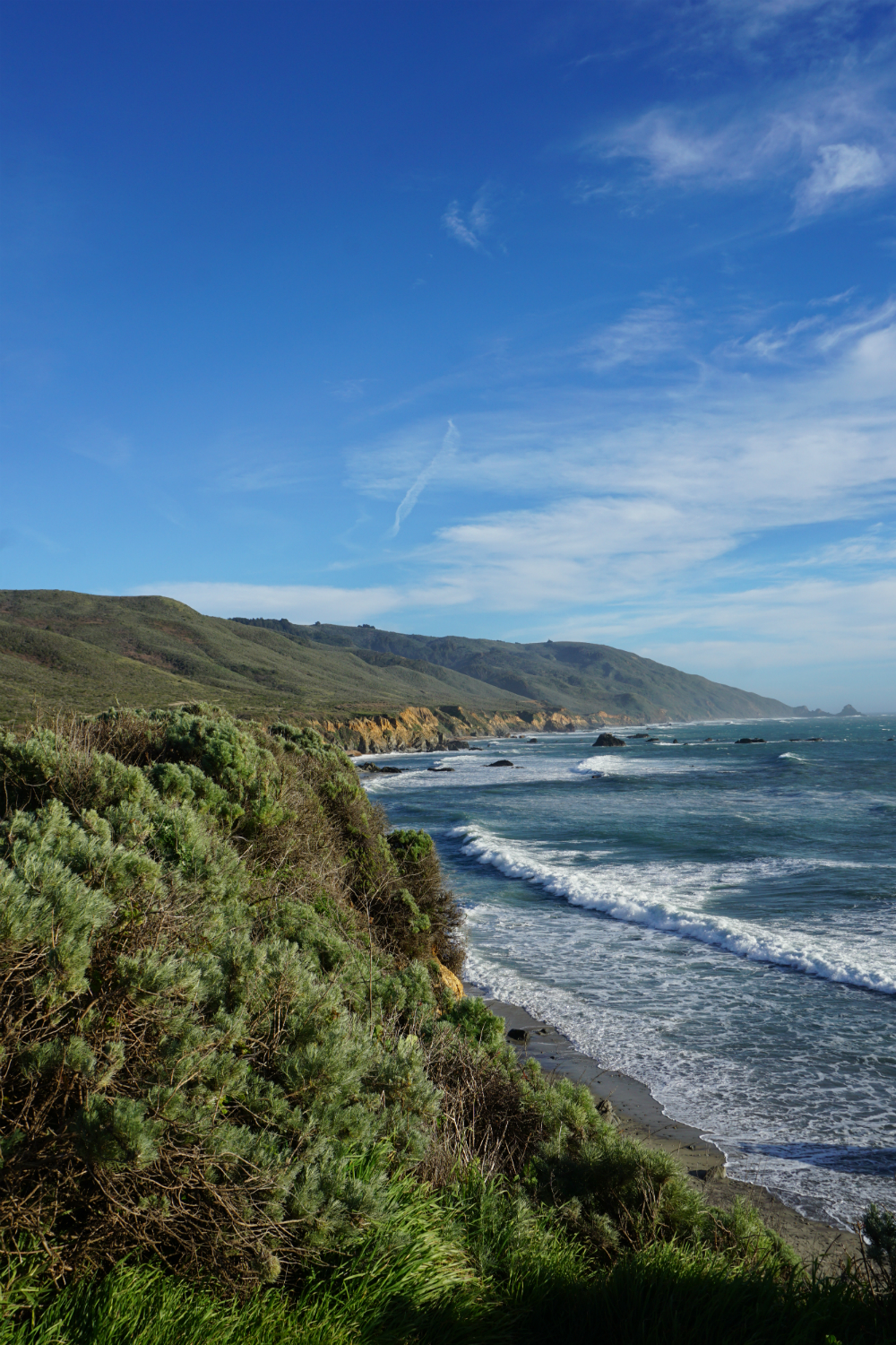 This is an image of the coastline taken at Andrew Molera State Park