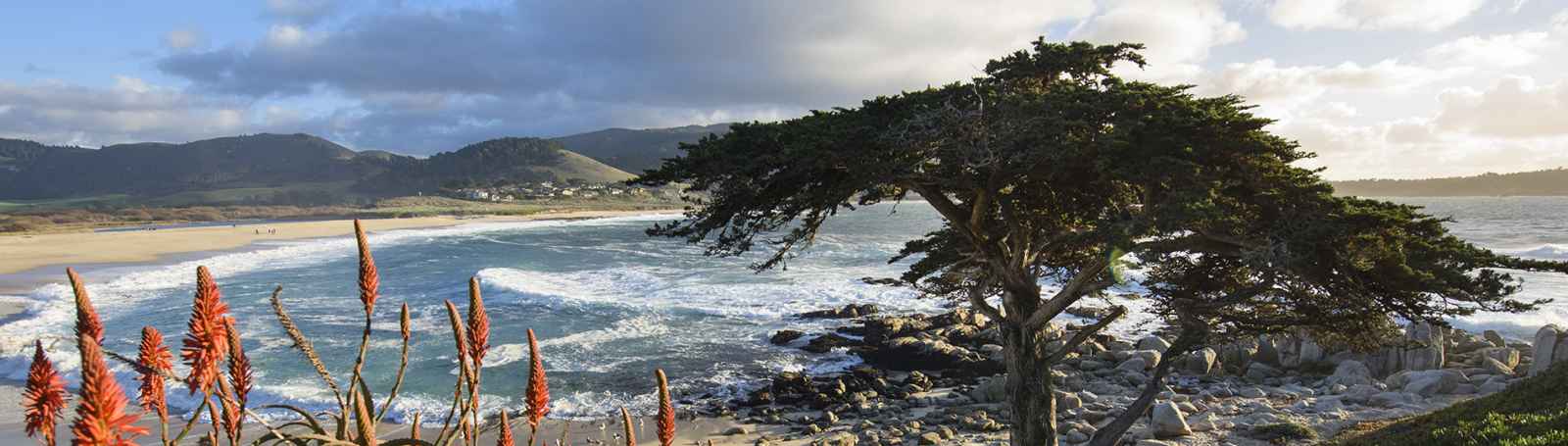 Top Beaches in Monterey County