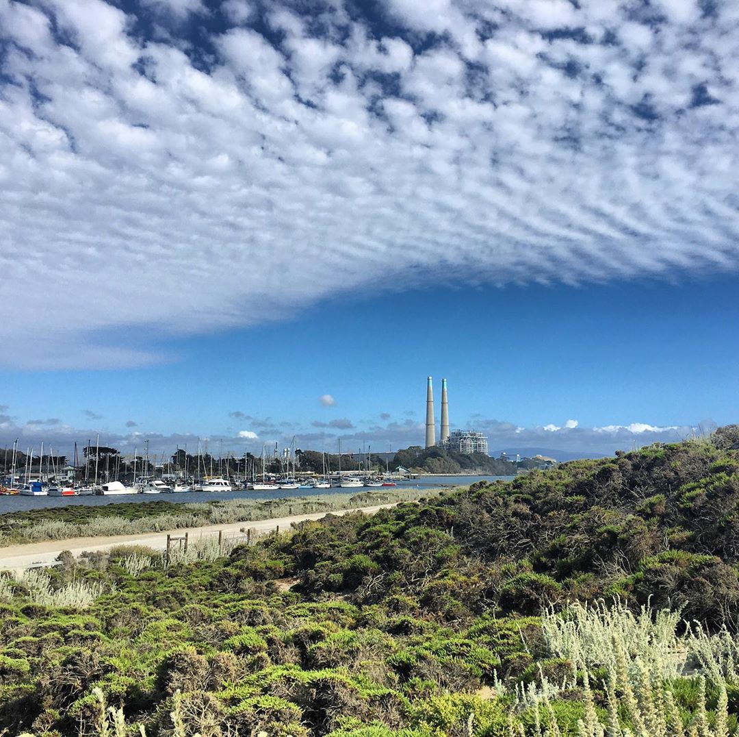 This is an image of Moss Landing