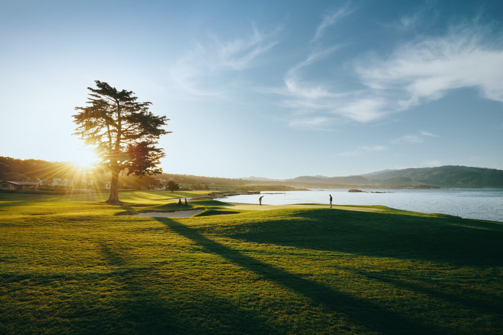 This is an image of a golf course with a cypress tree and the ocean in the background at Pebble Beach Golf Links