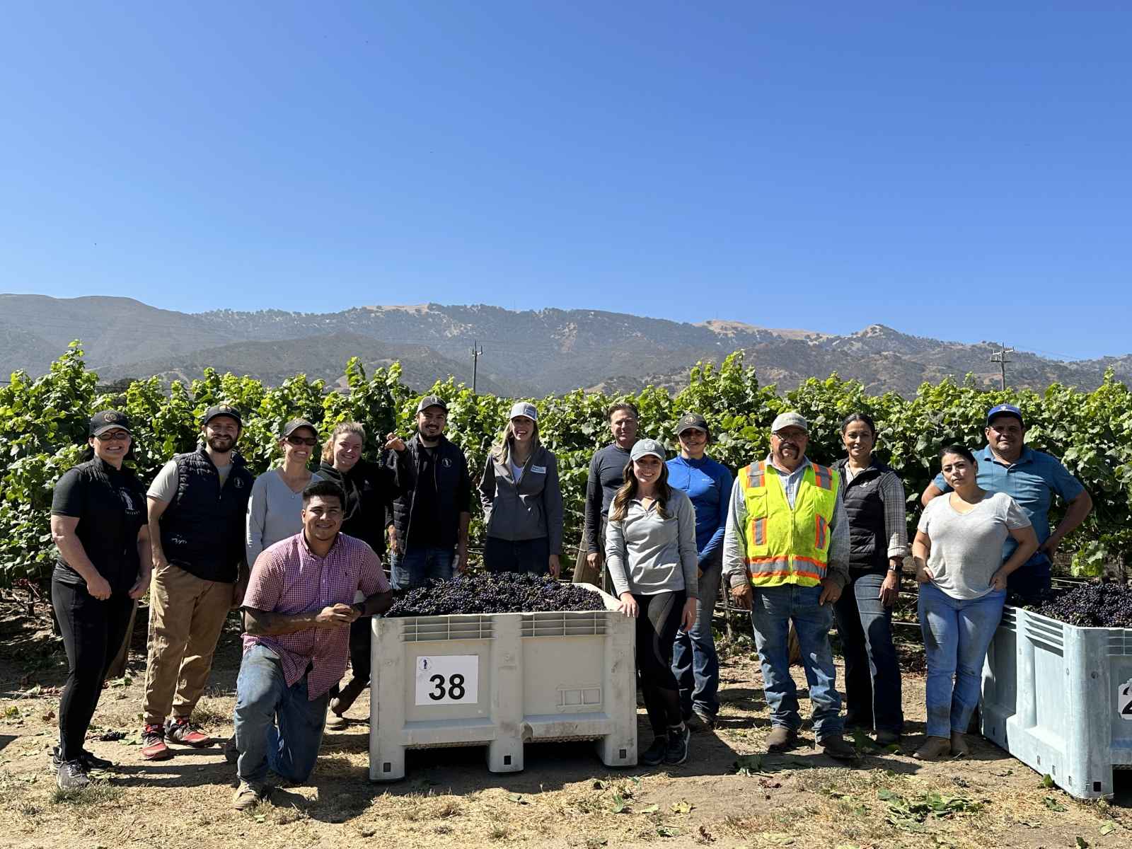 Scheid Vineyards Harvest Team