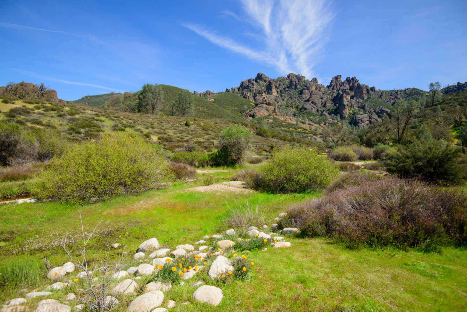 This is an image of the pinnacle rock formations and green scenery at Pinnacles National Park in Soledad, California