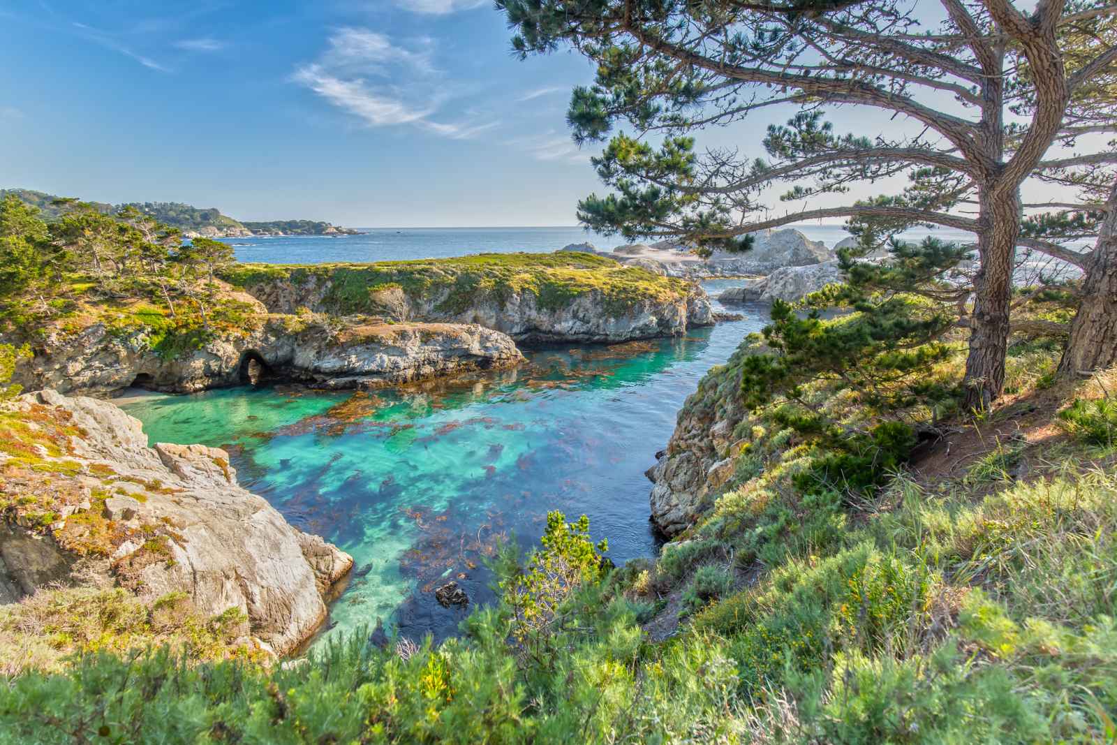 This is an image of the turquoise waters of Point Lobos State Natural Reserve. The waters are surrounded by cliffs with greenery and trees