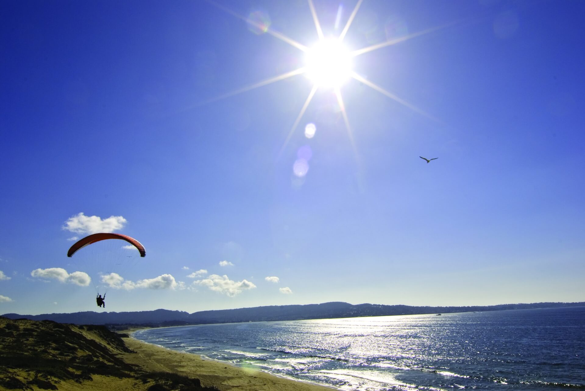 This is an image of a person paragliding over a beach in Sand City, California