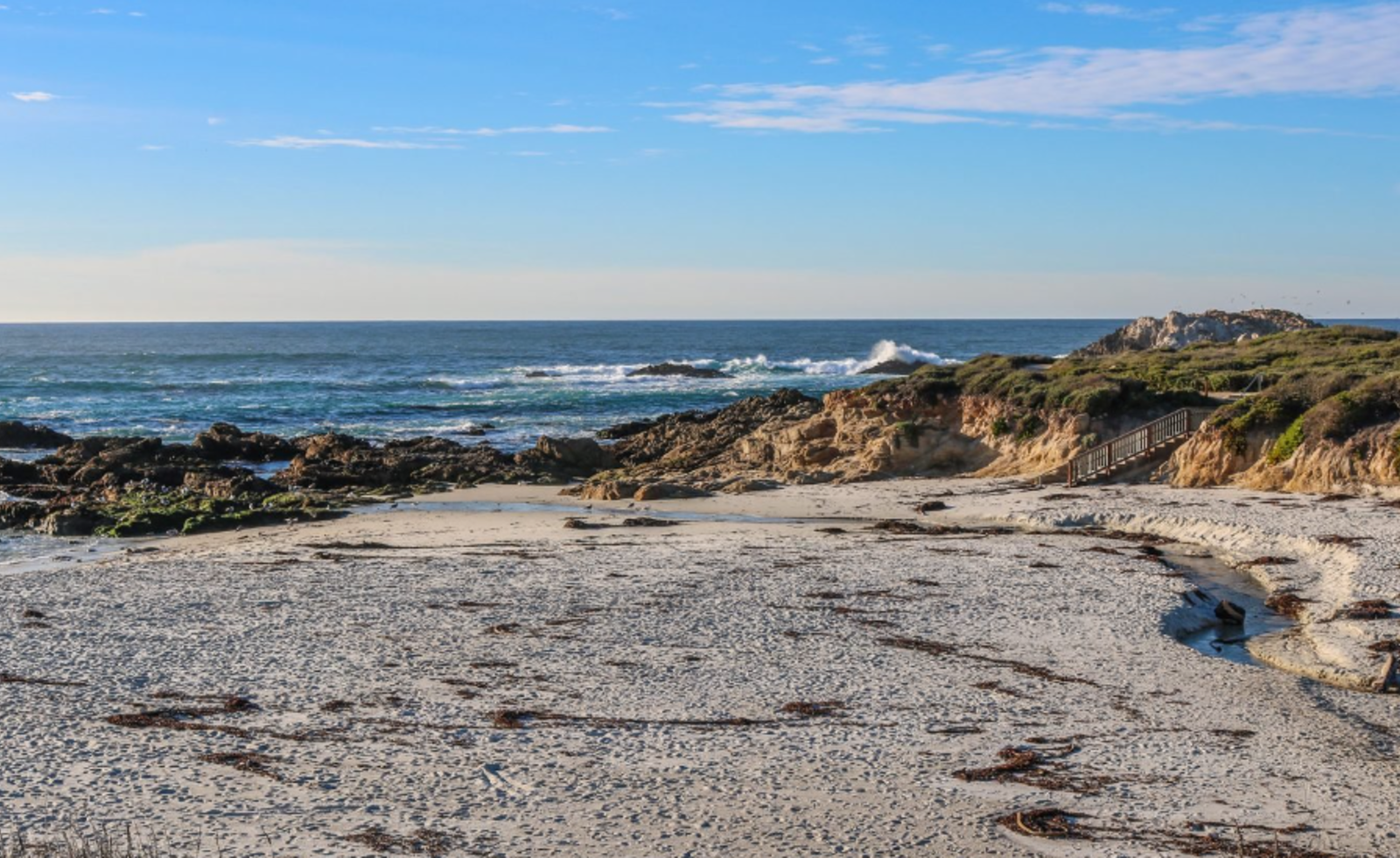 Seal Rock