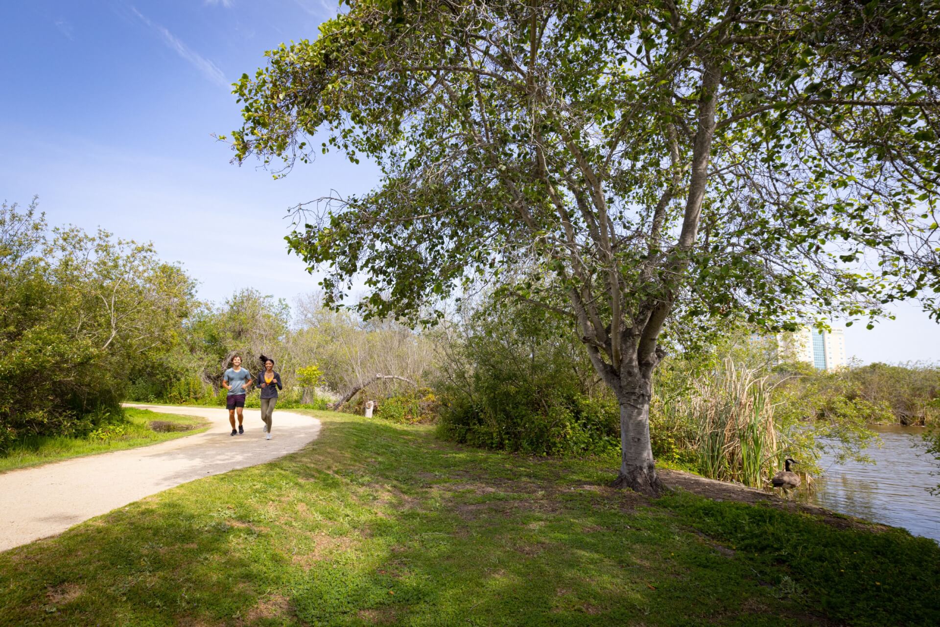 This is an image a couple of people running on a path in Laguna Grande Park in Seaside, California