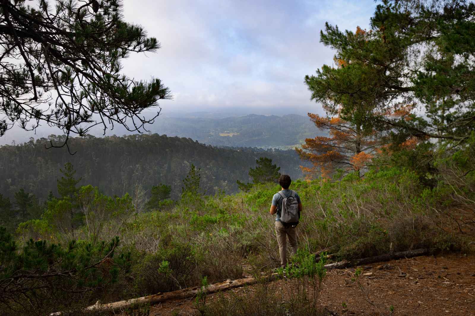 This is an image of a man looking at at the views from Jacks Peak hike in Monterey