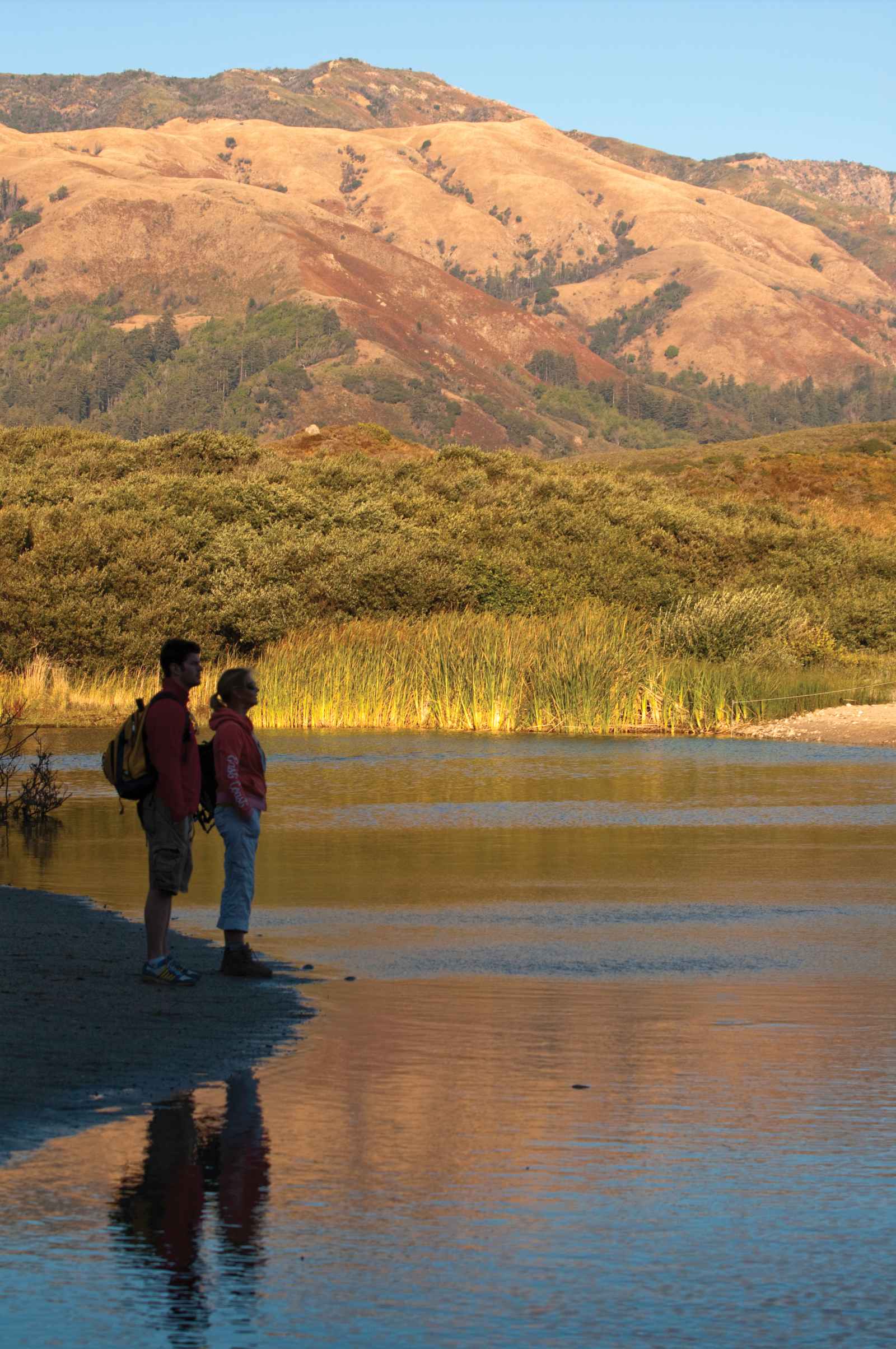 Andrew Molera State Park