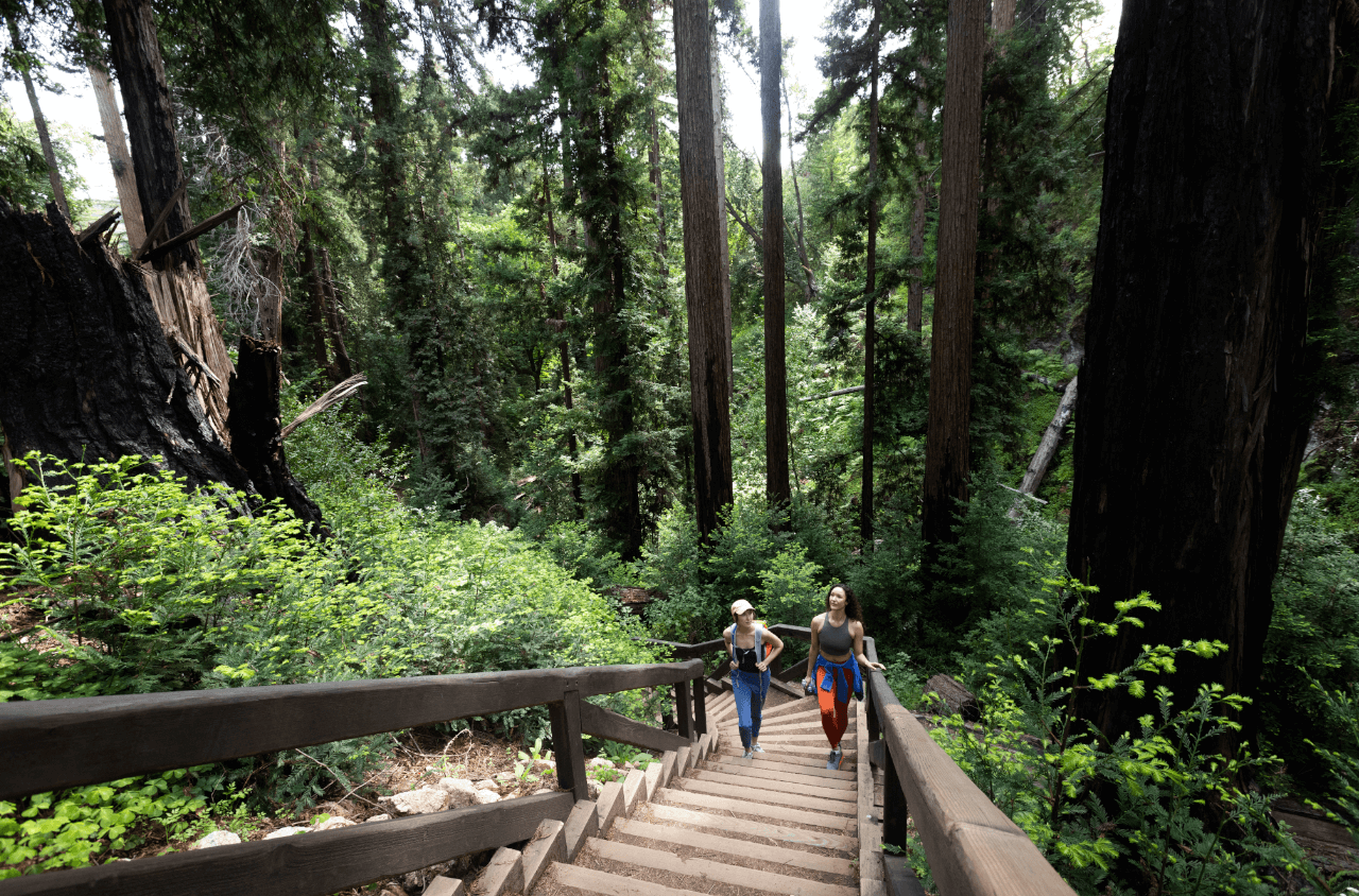 Big Sur Hiking