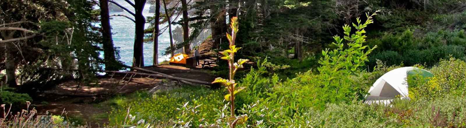 Campgrounds & RV Parks