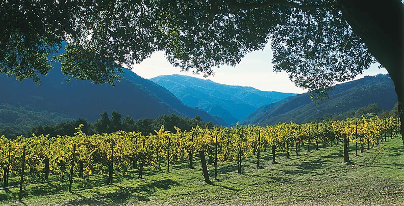 Wineries and Tasting Rooms