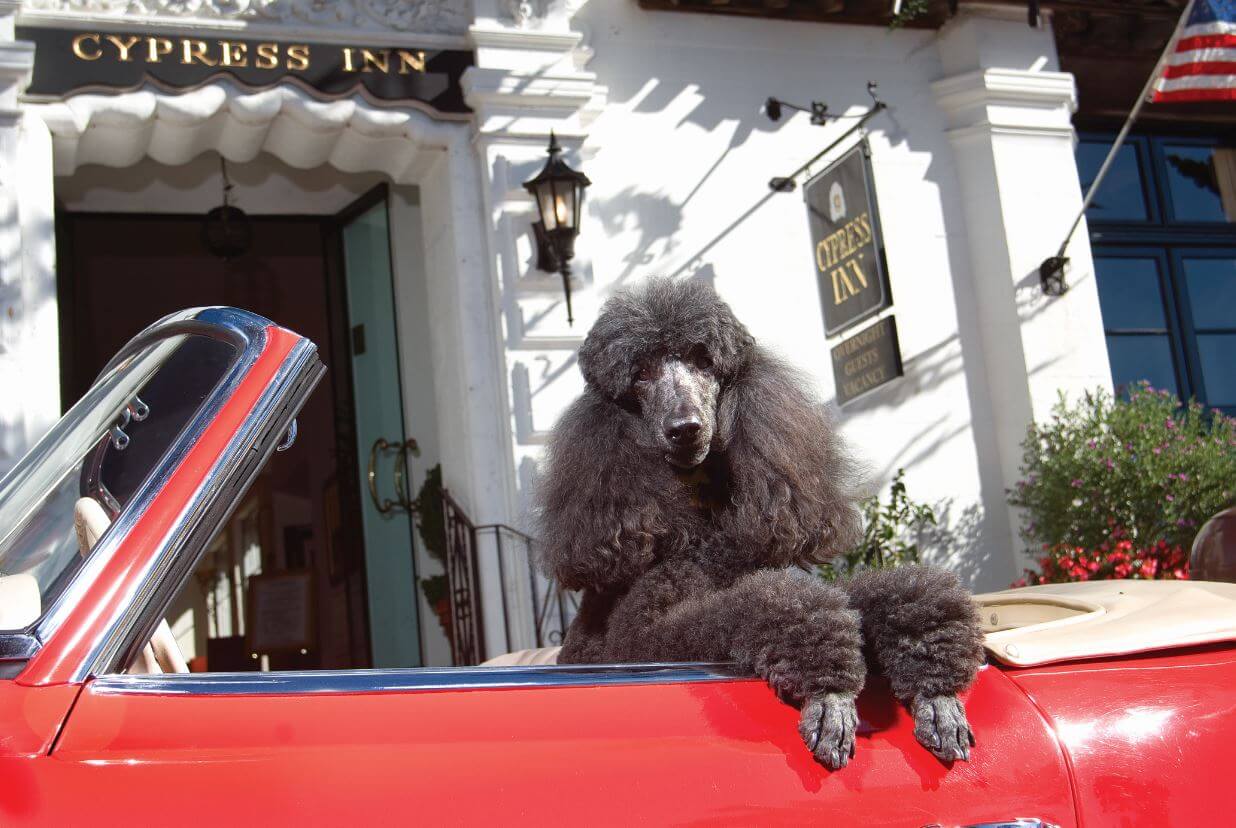 This is an image of a dog sitting in a bright red convertible outside of the entrance to Cypress Inn in Carmel-by-the-Sea