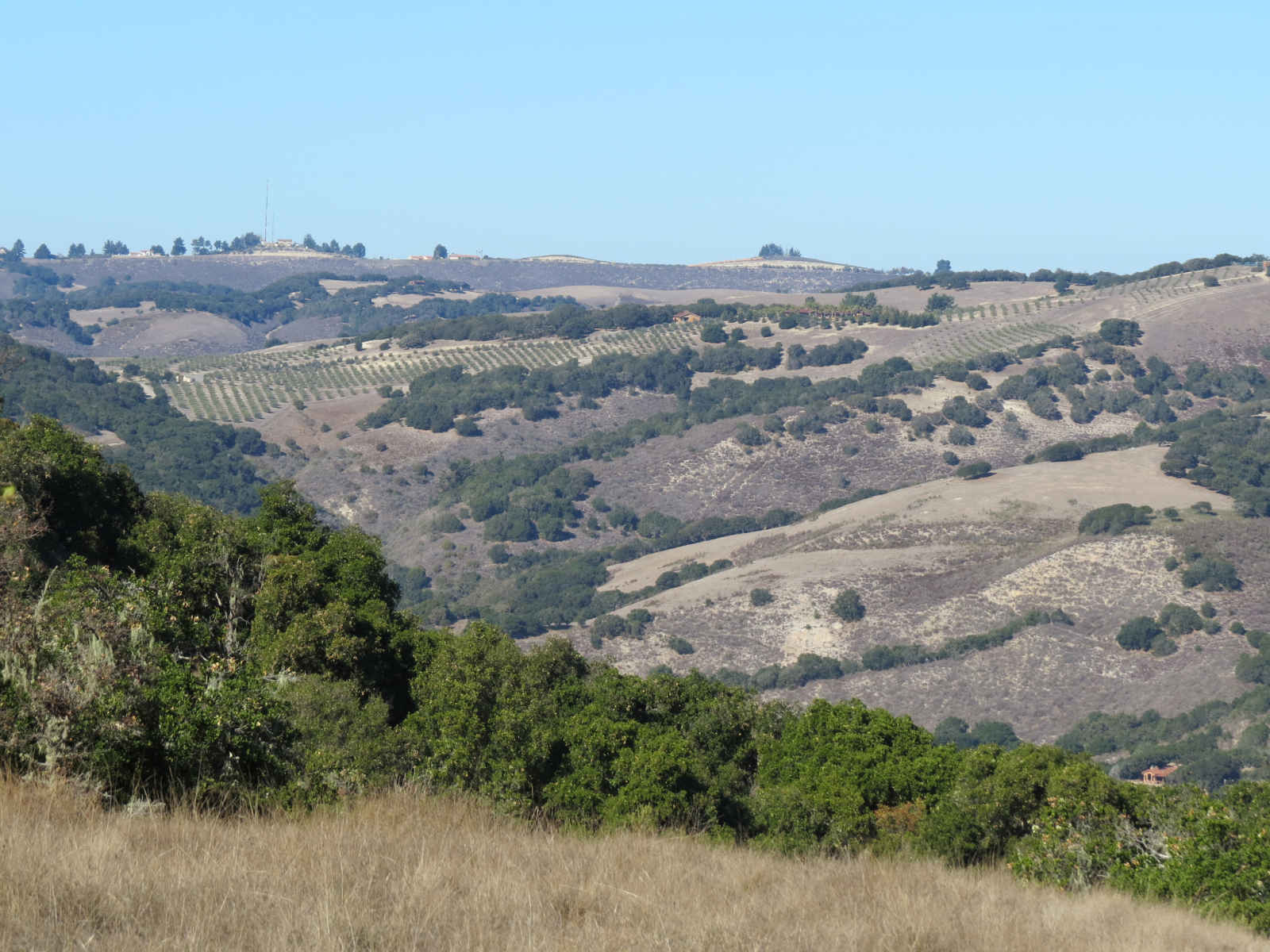 Garland Ranch Regional Park