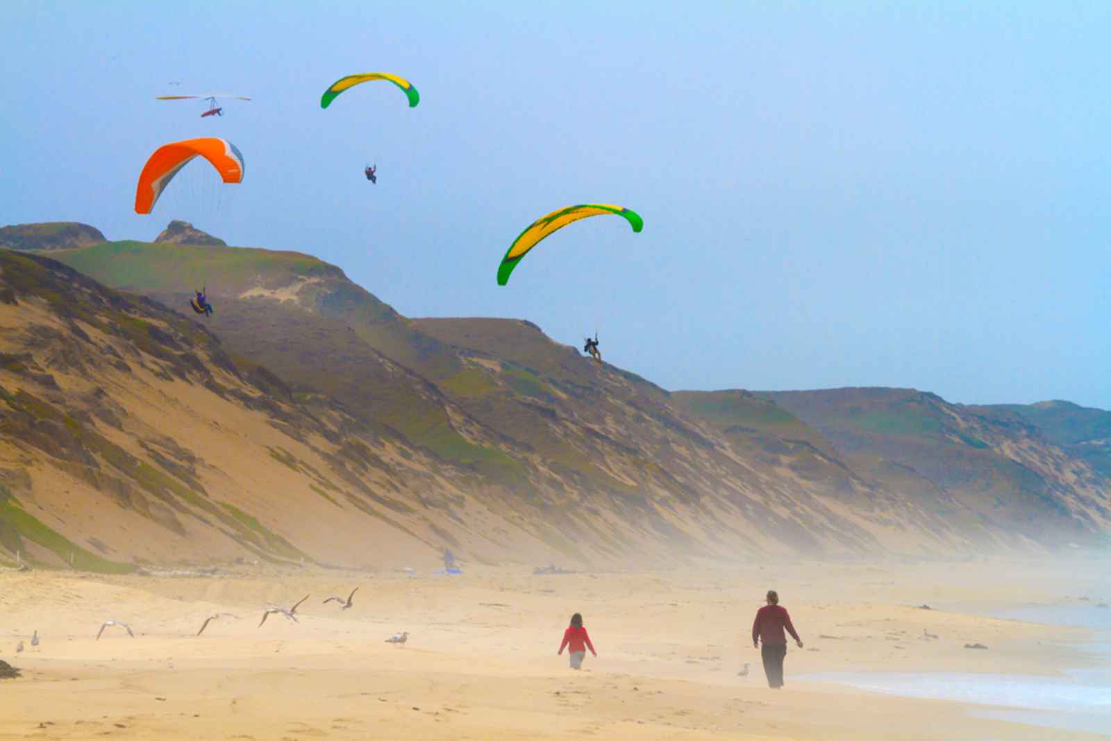 Monterey County by Land, Sea & Air