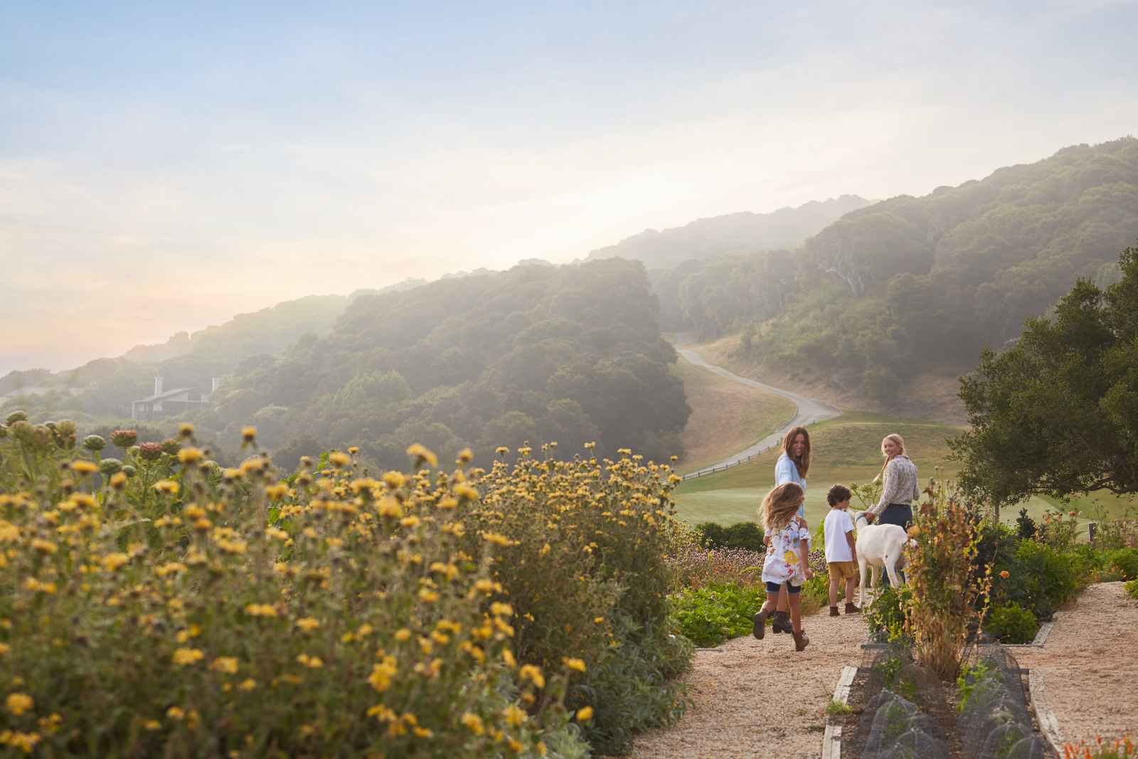 This is an image a group family walking on a path with their dog. The path is lined with wildflowers and winds through the lush Carmel Valley scenery