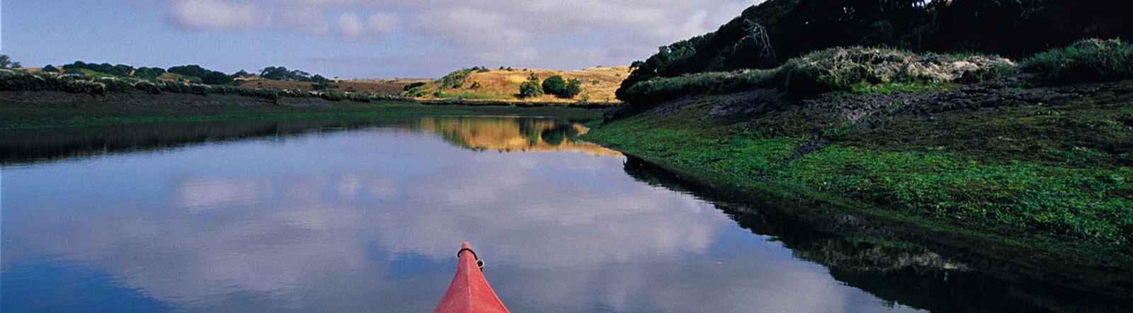 Kayaking in Monterey