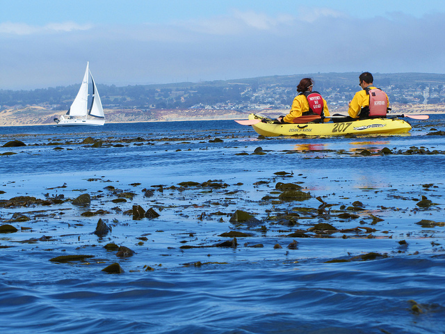 MOSS LANDING