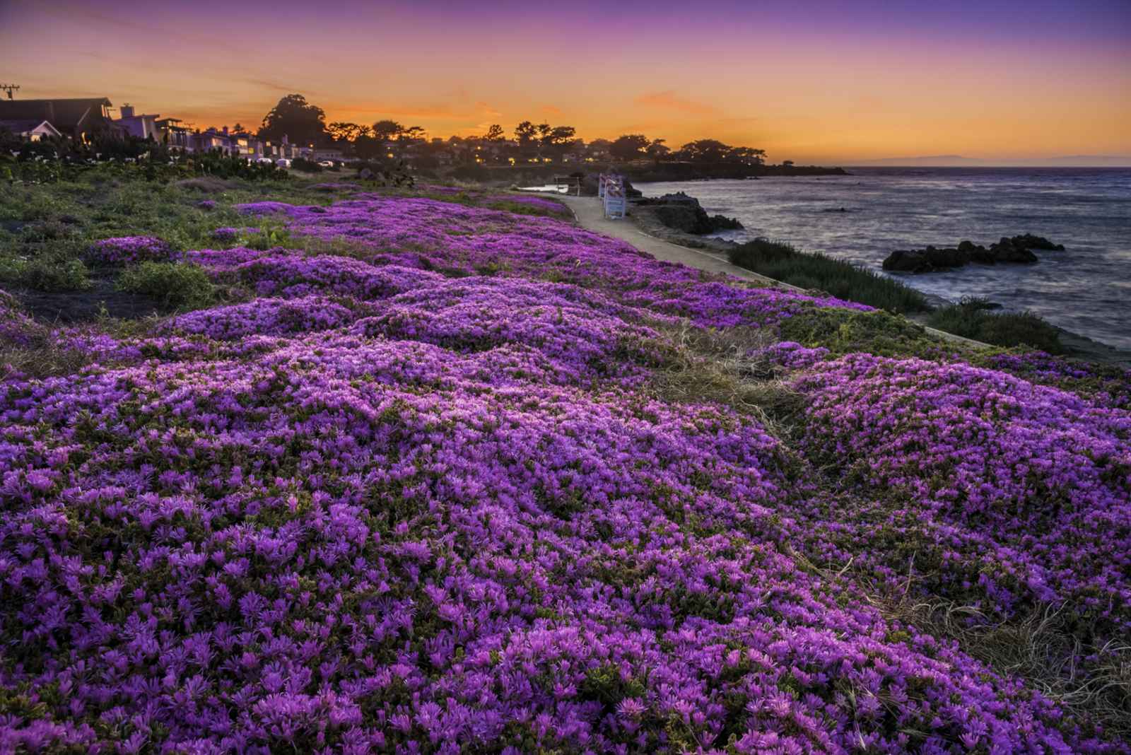 Plan Your Vacation in Monterey County, California