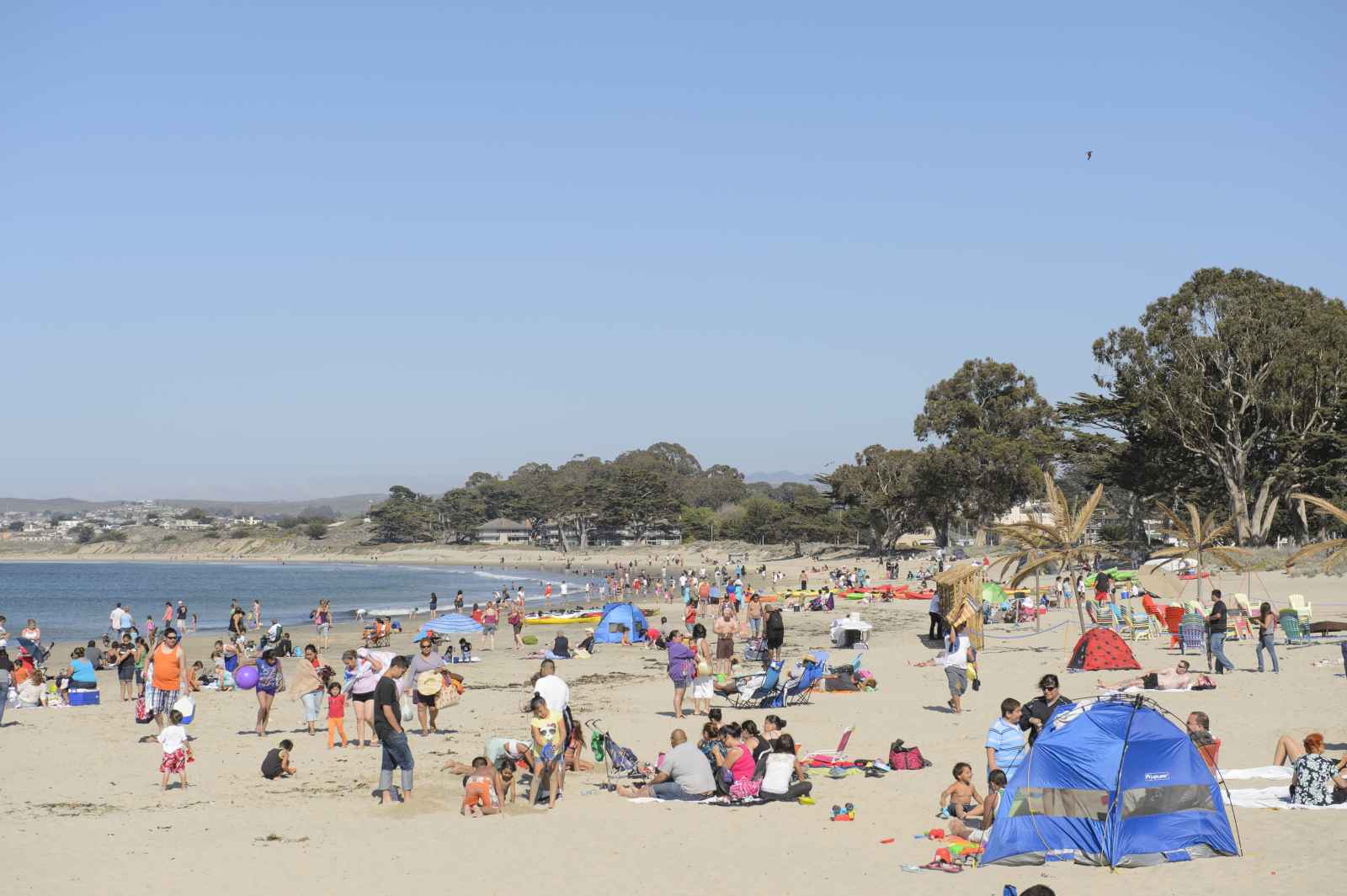 Monterey Beaches