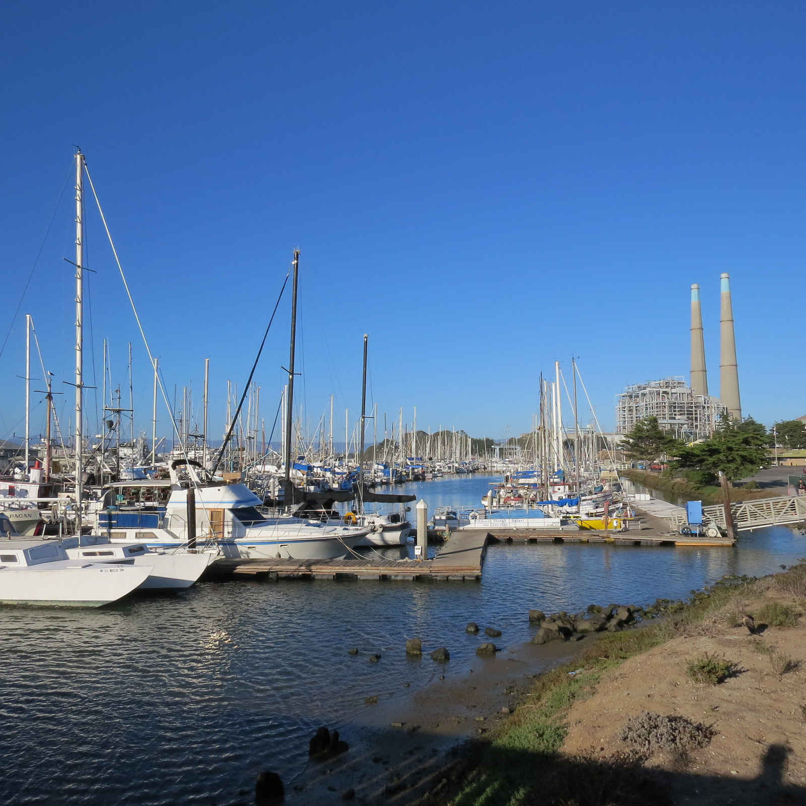 MOSS LANDING