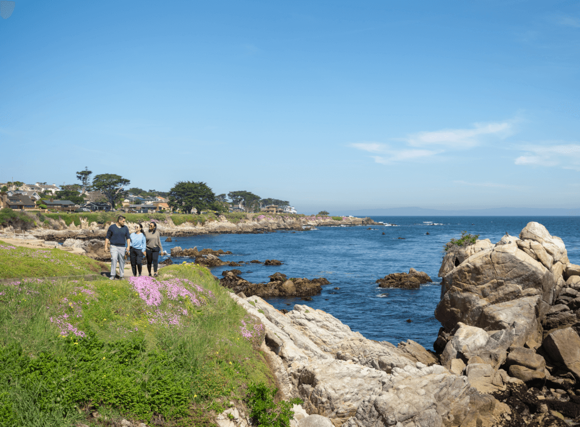 Pacific grove beach