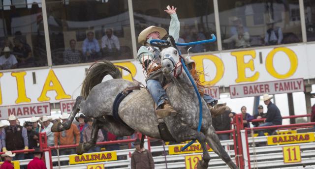 California Rodeo